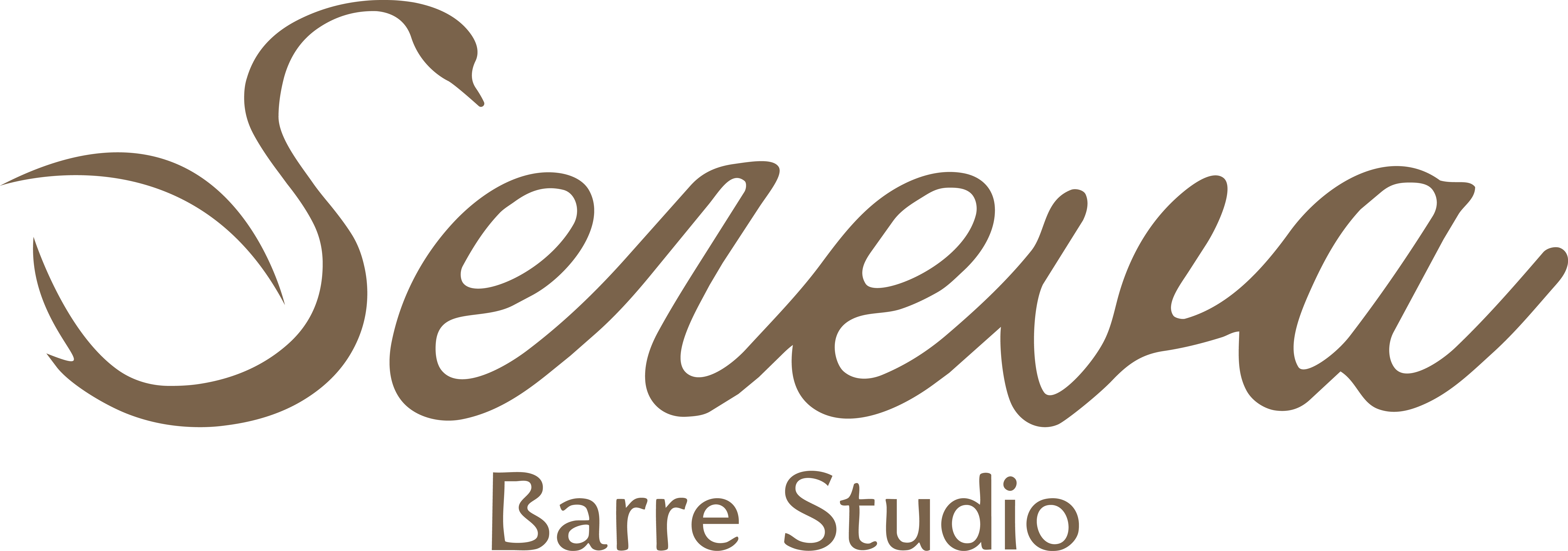 Sereva Movement Studio